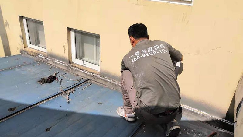 目前市场上常见的露台防水材料主要有以下几种：